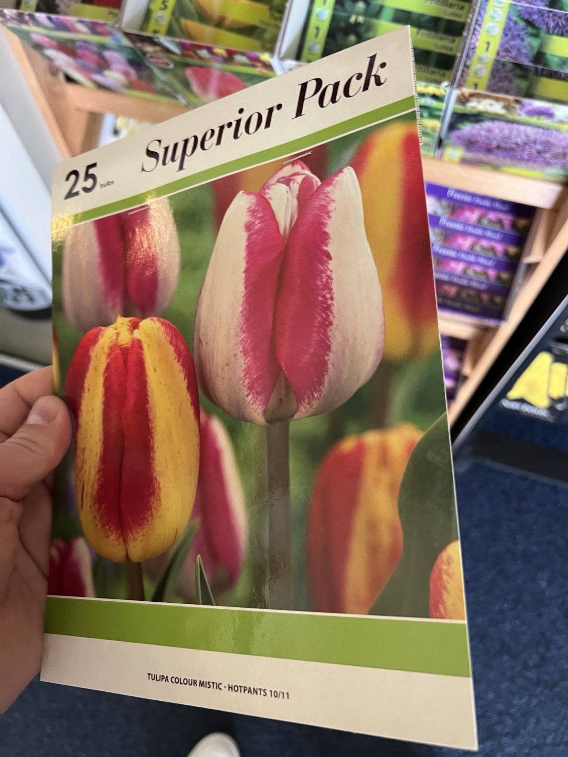 Tulip bulb retail pack